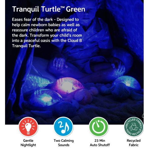 Tranquil Turtle - Green
