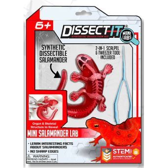 Dissect It Mini Lab Mini Salamander