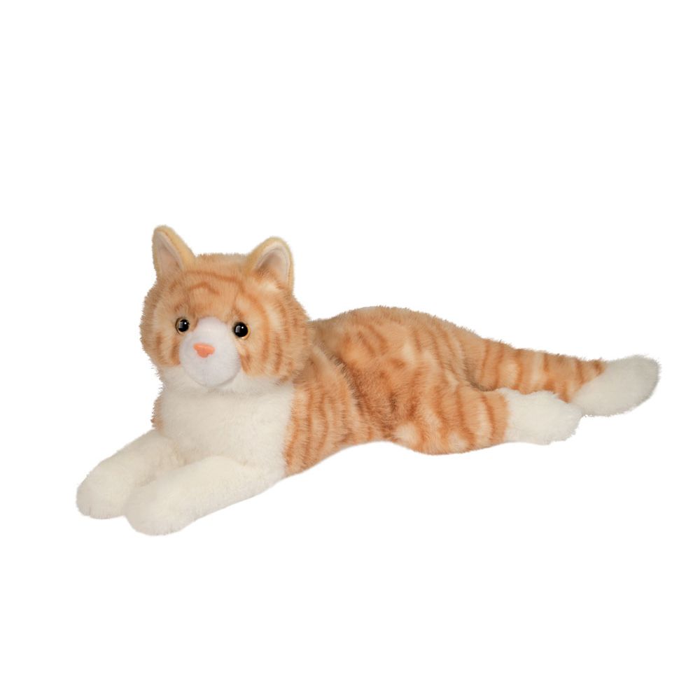 Mango Orange Cat