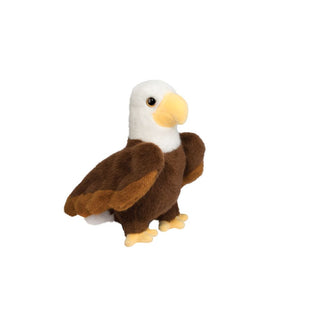 Windy Eagle 
