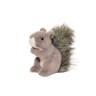 Shasta Gray Squirrel 
