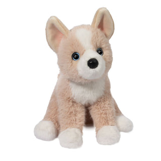Softie - Pookie Pomsky 