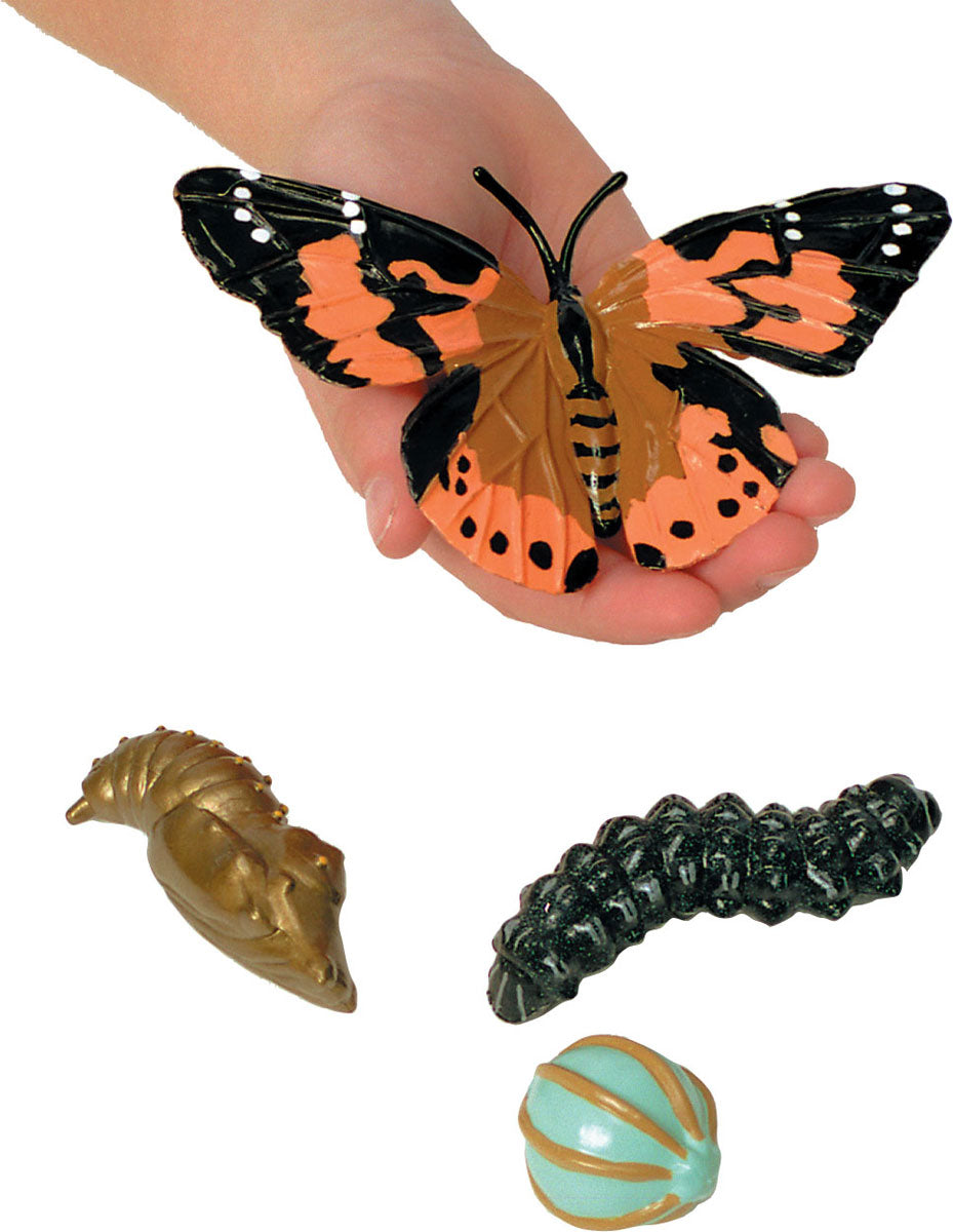 Butterfly Life Cycle figurines 4 Pc set