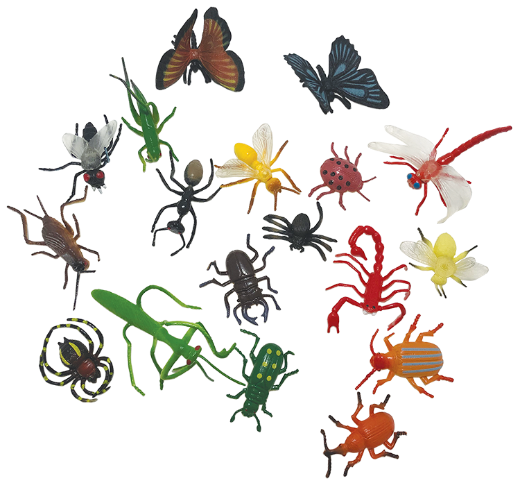 Big Bunch of Bugs