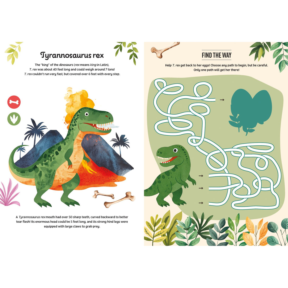 Discovering Dinosaurs