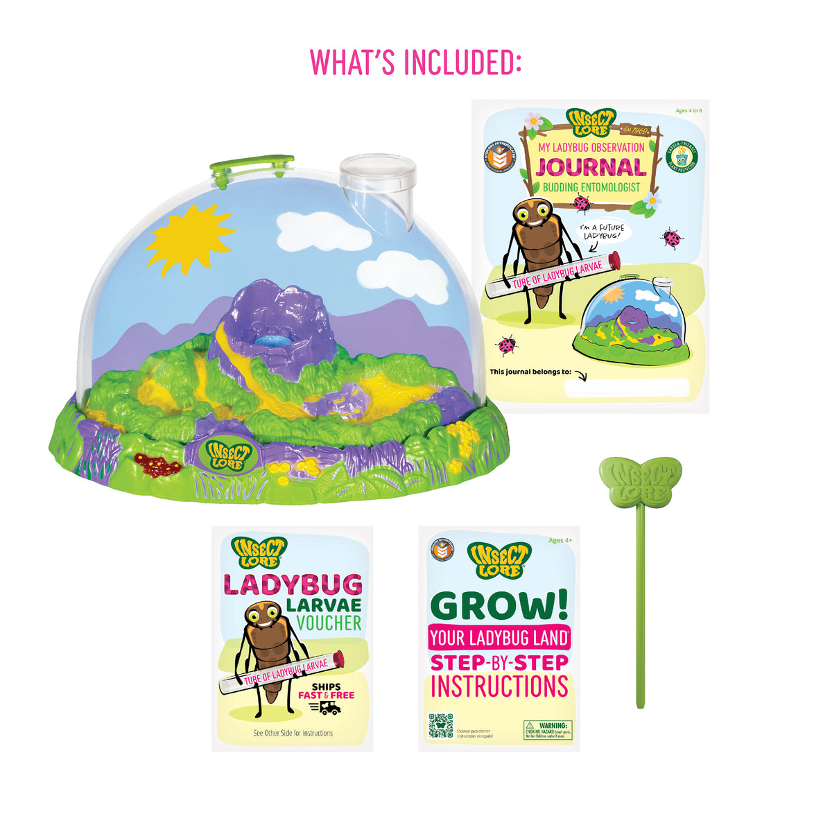 Ladybug Land with Prepaid voucher