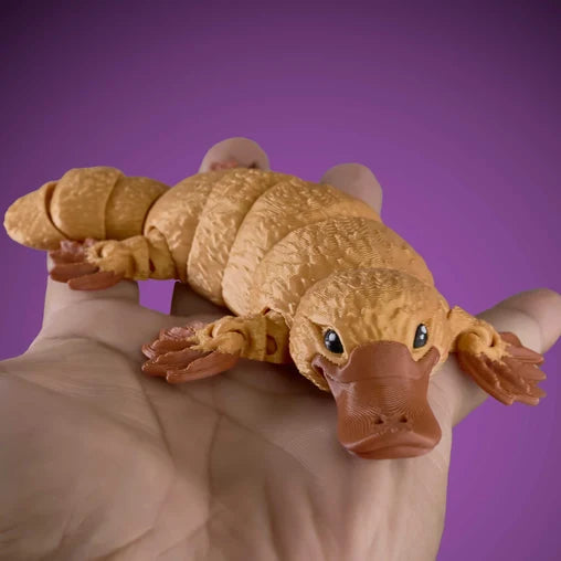 Palm Fidget Platypus