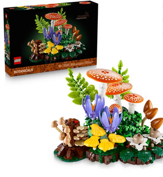 Woodland Mushroom 