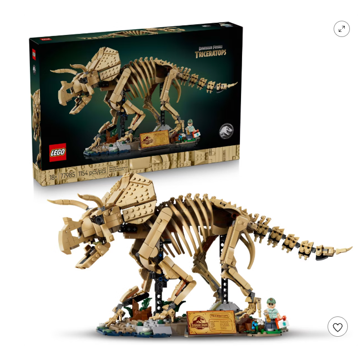 Dinosaur Fossils Triceratops