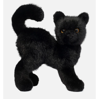 Scaredy Black Cat 