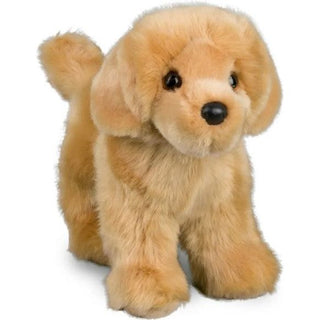 Chap Golden Retriever 