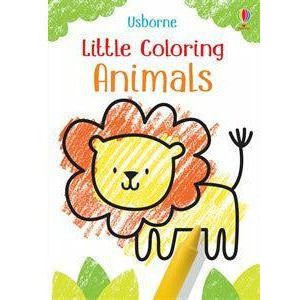 Little Coloring Books Cover