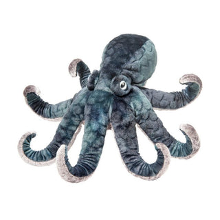 Winky Octopus 