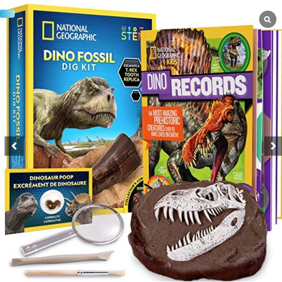 Dino fossil dig kit