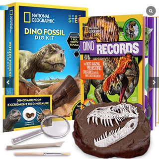 Dino fossil dig kit 