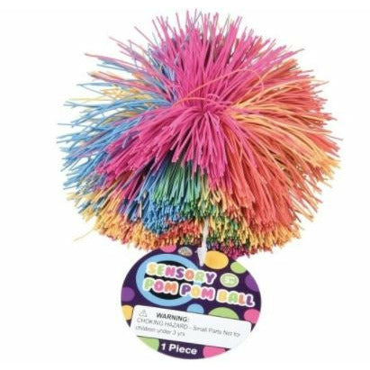 Sensory Pom Pom Ball