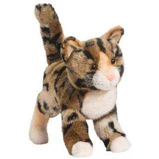 Tashette Bengal Cat 
